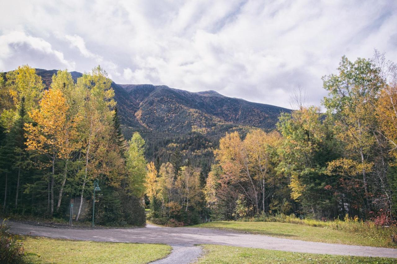 Gite Du Mont-Albert - Sepaq Sainte Anne des Monts ภายนอก รูปภาพ