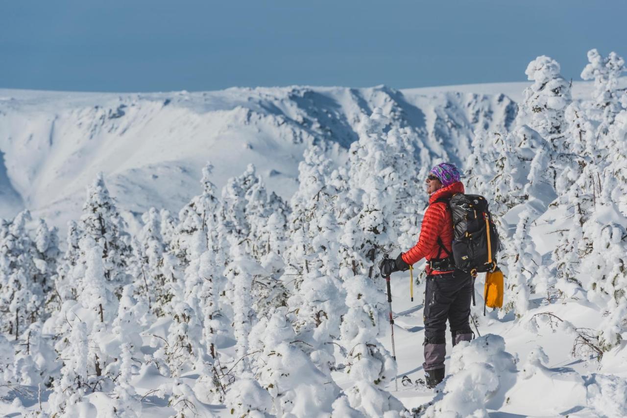 Gite Du Mont-Albert - Sepaq Sainte Anne des Monts ภายนอก รูปภาพ